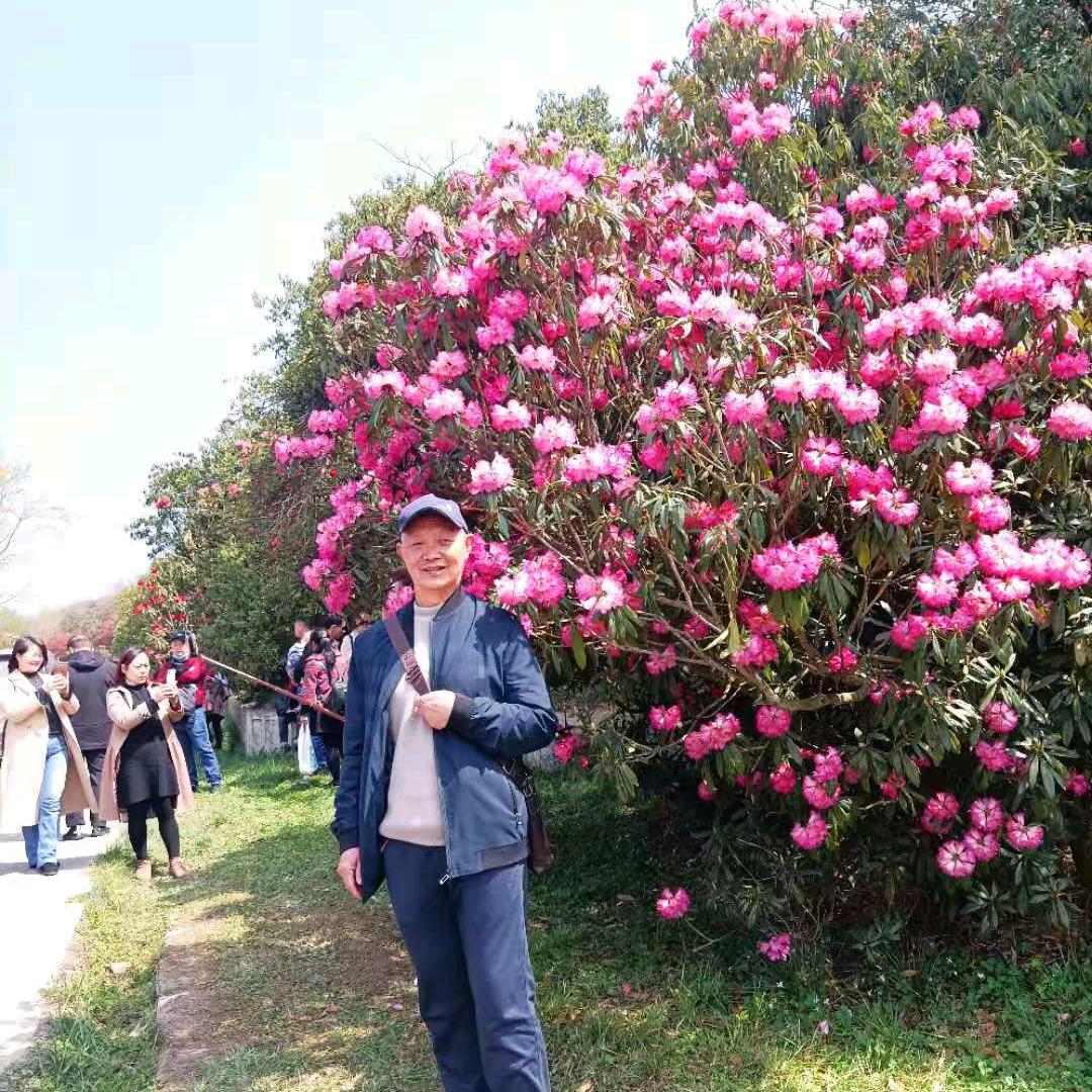 晓鹰