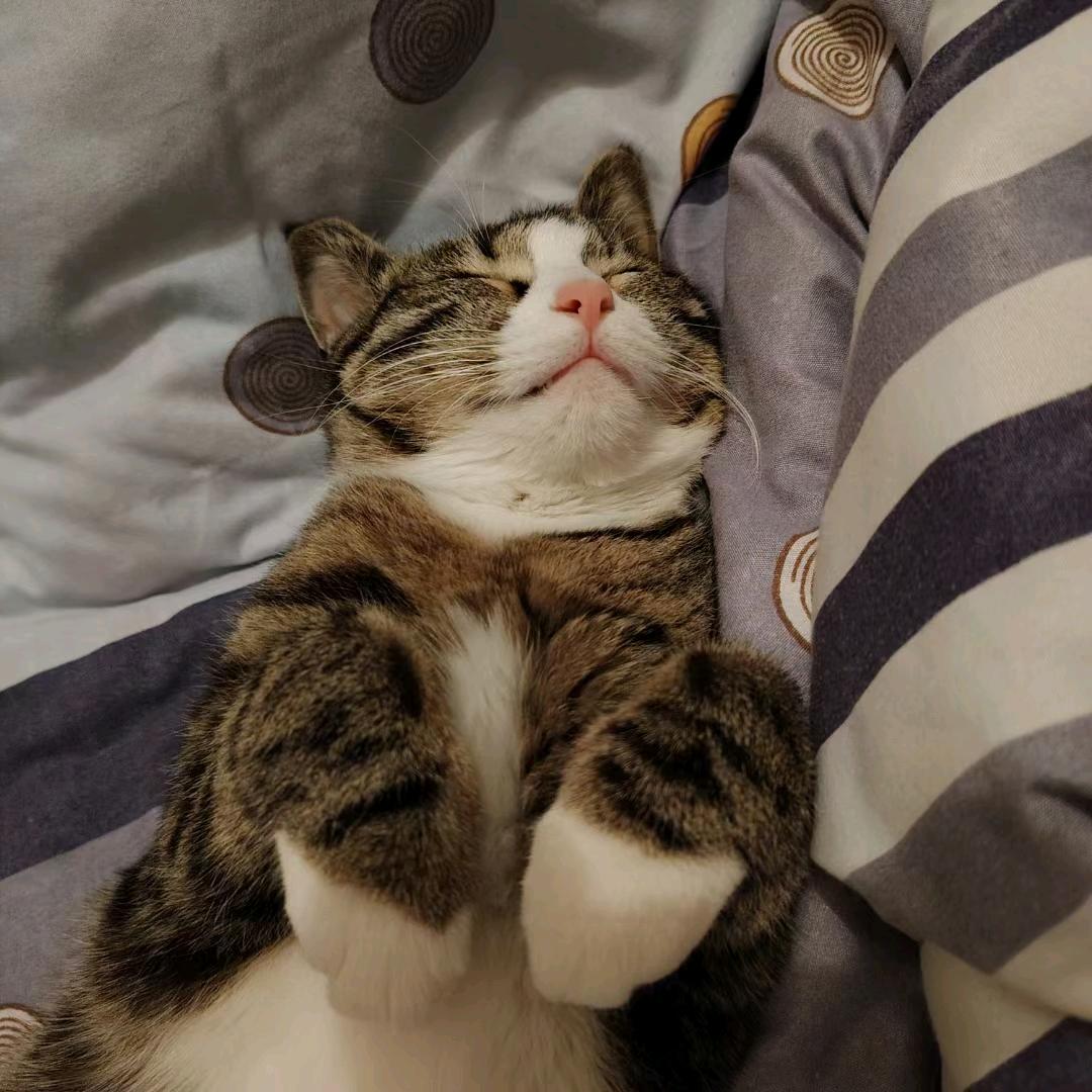 大宝小宝豆豆妈