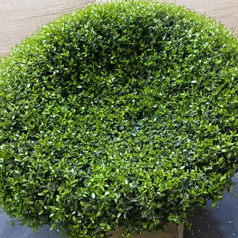 森浪园林景观工程有限公司
