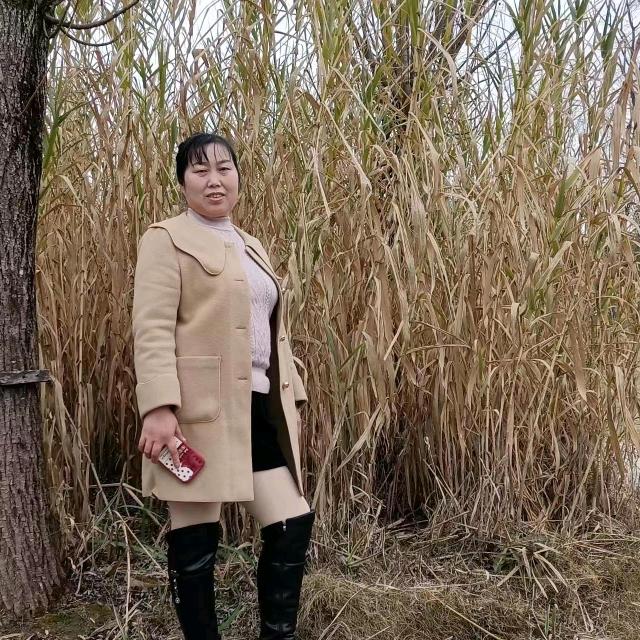 自由飞翎