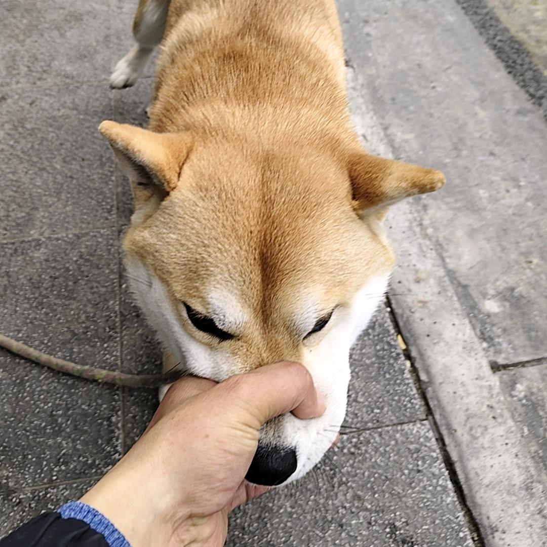 李家老大