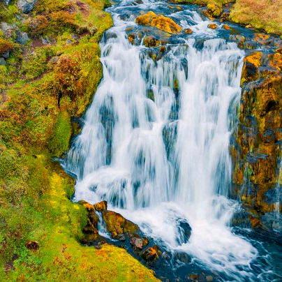 佼浦网络科技工作室