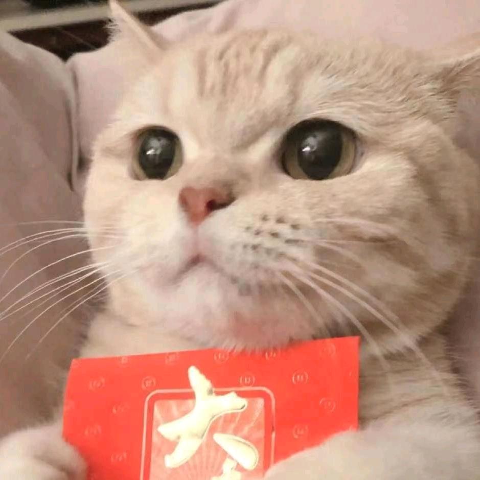 迟遇.