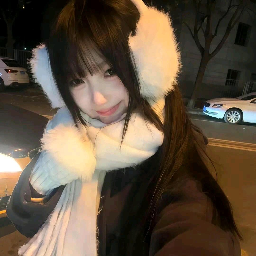 猫函小崽
