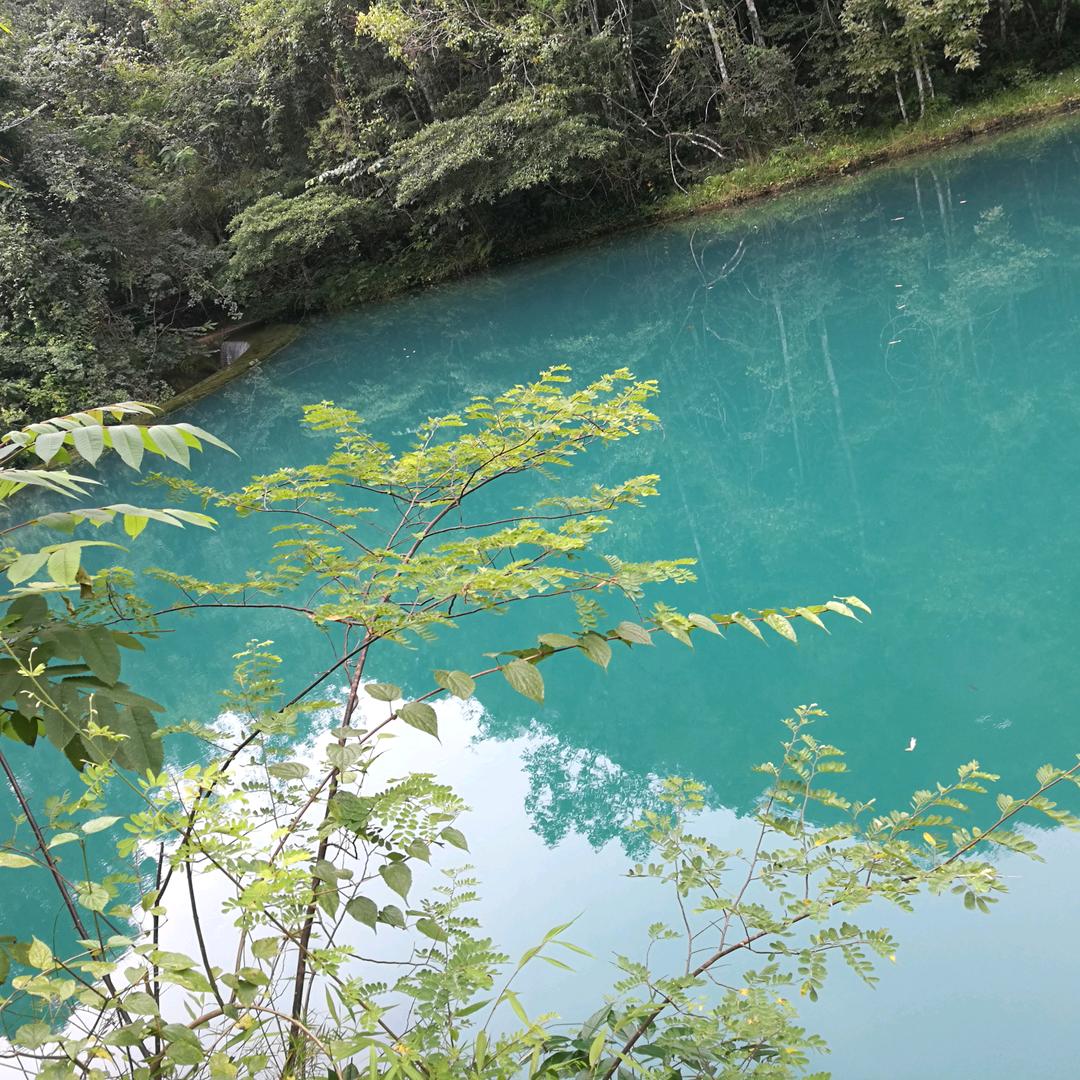 wh静如秋水（原创）