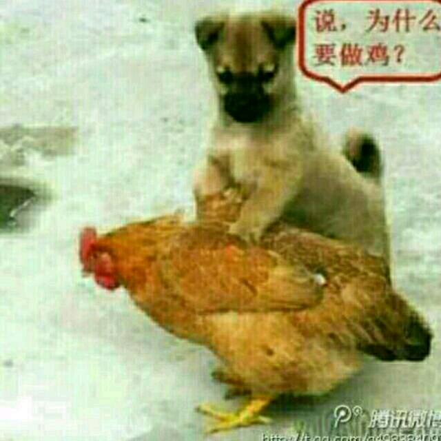 全国通用。