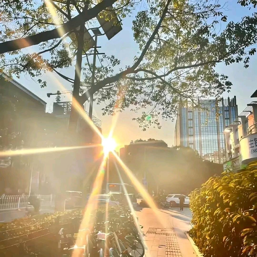 爱和光🌼头像