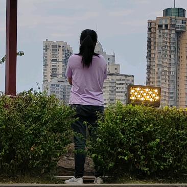 萌新萌萌哒
