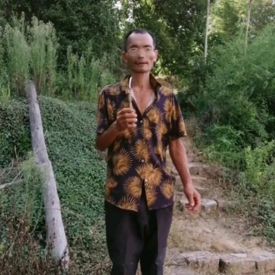 火龙果