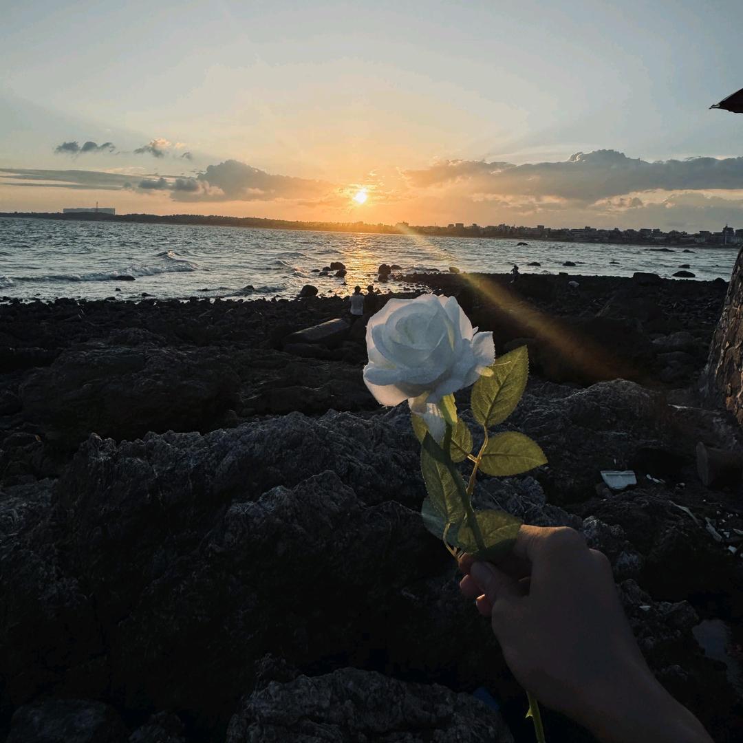 满世界种香菜⁸¹⁹