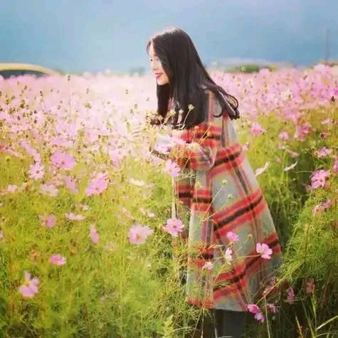 甜妮