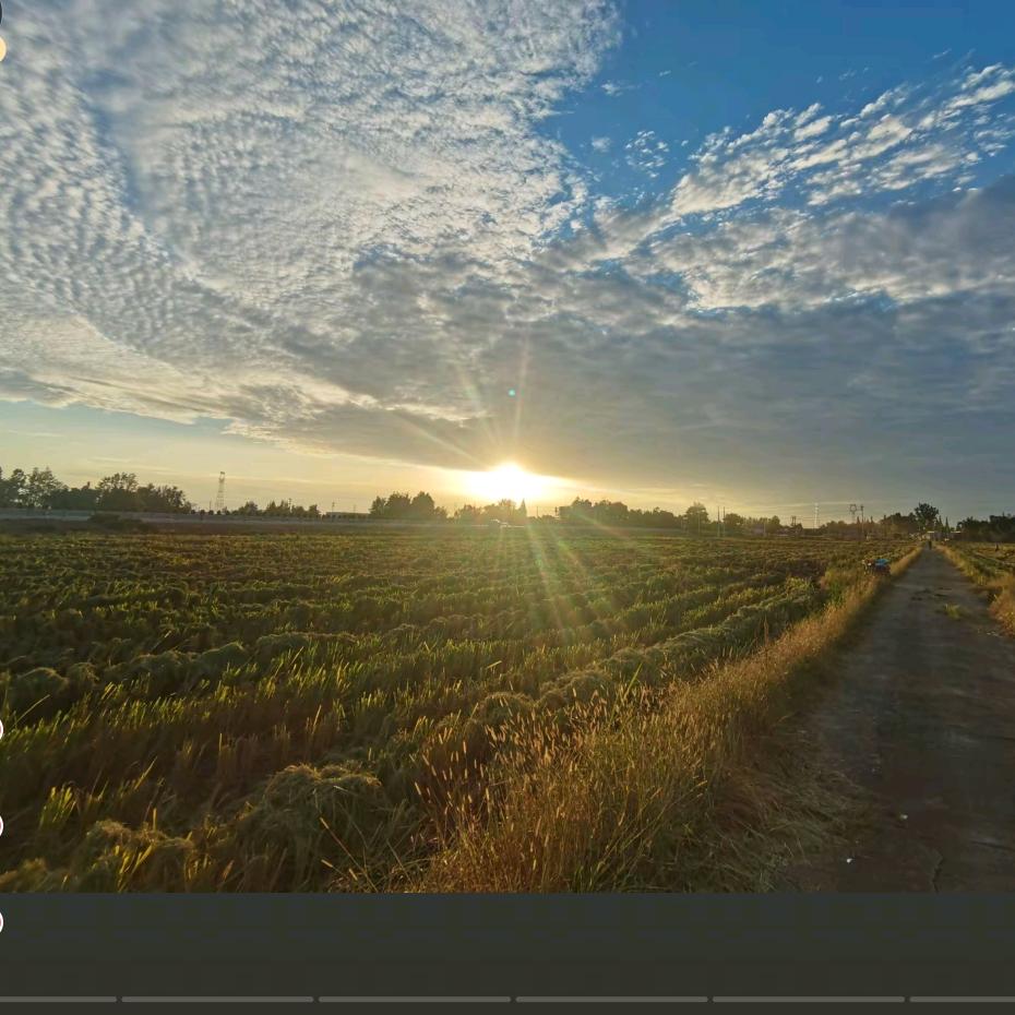 大邑 安仁景裕家庭农场 高波