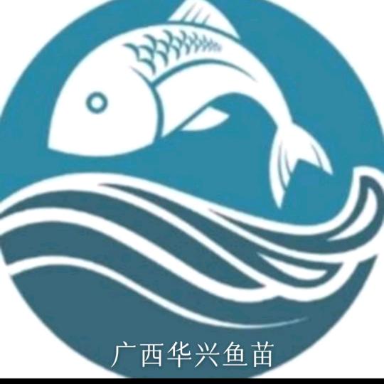 广西华兴鱼苗