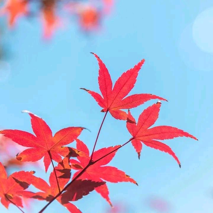 幸福常伴