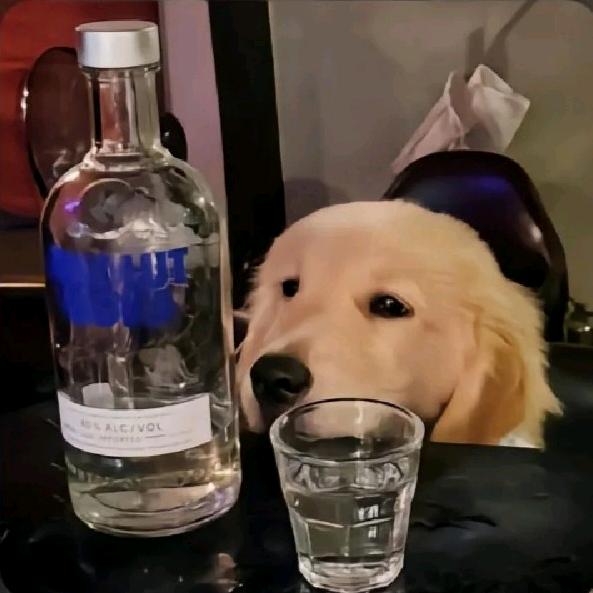 贝多芬灬真瞎