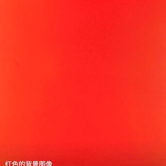 小小猫咪宝贝