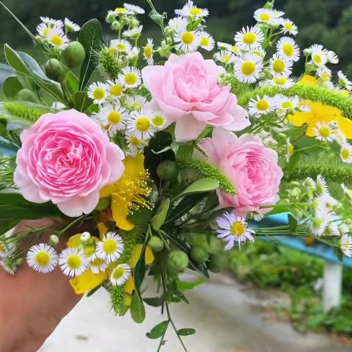 💖ঞོ看淡一切💞ོ࿐ᩚ