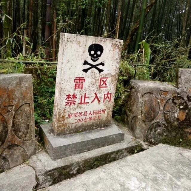 დ᭄ꦿ孤独的王꧔ꦿ℘⸙