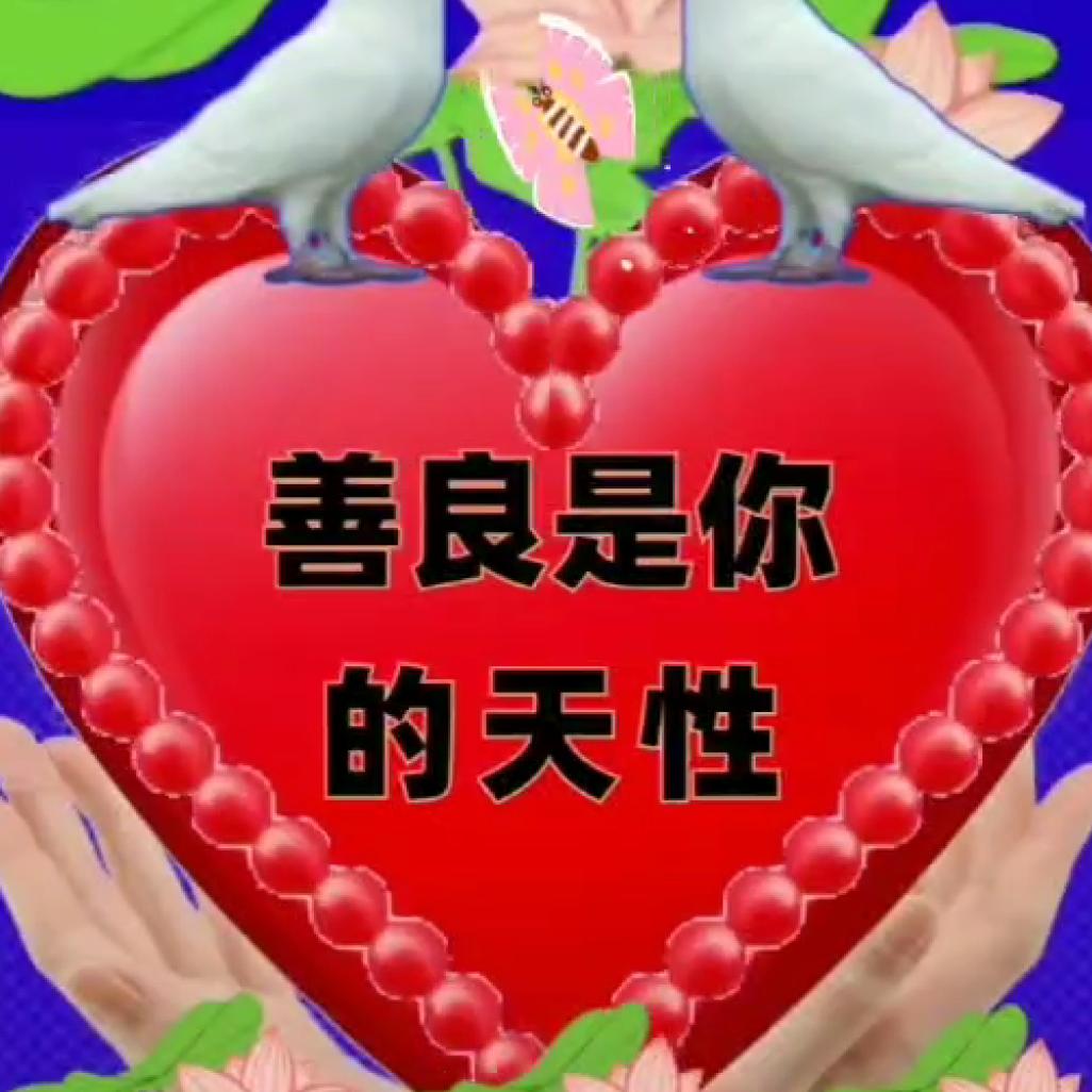 ✨珍爱✨618🎊🎊