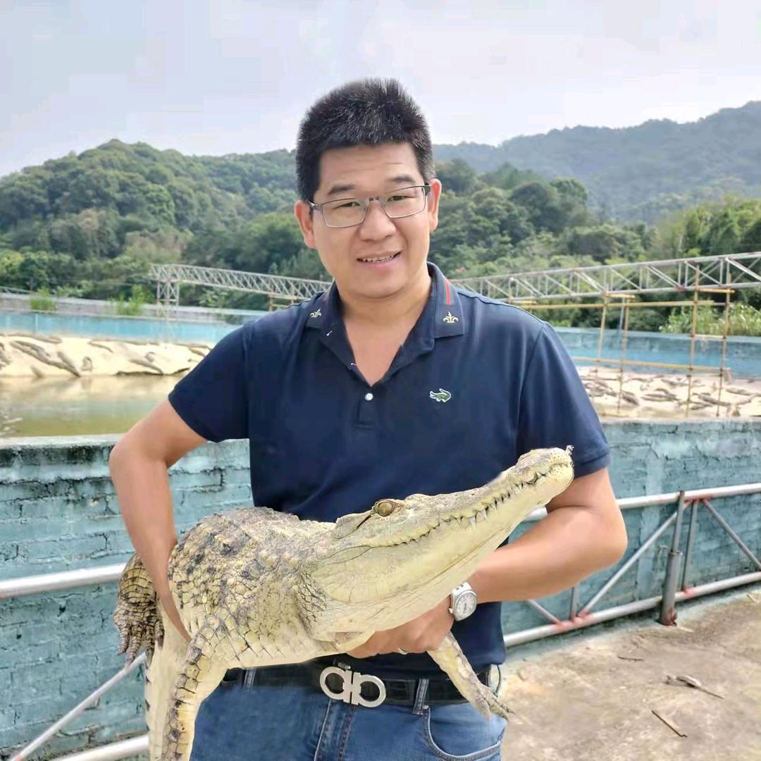 鳄鱼先生