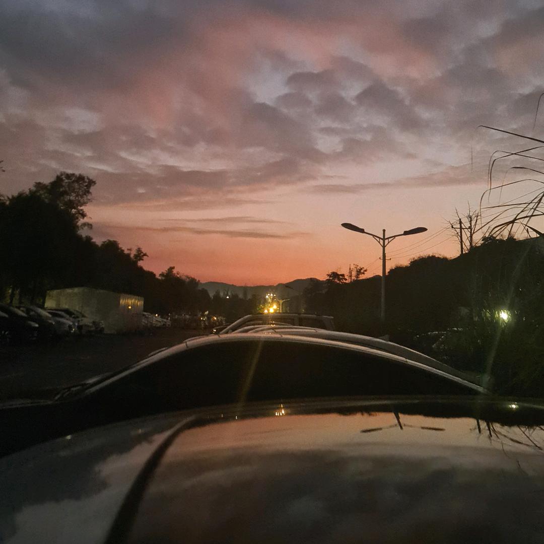 锦鲤逆流而上