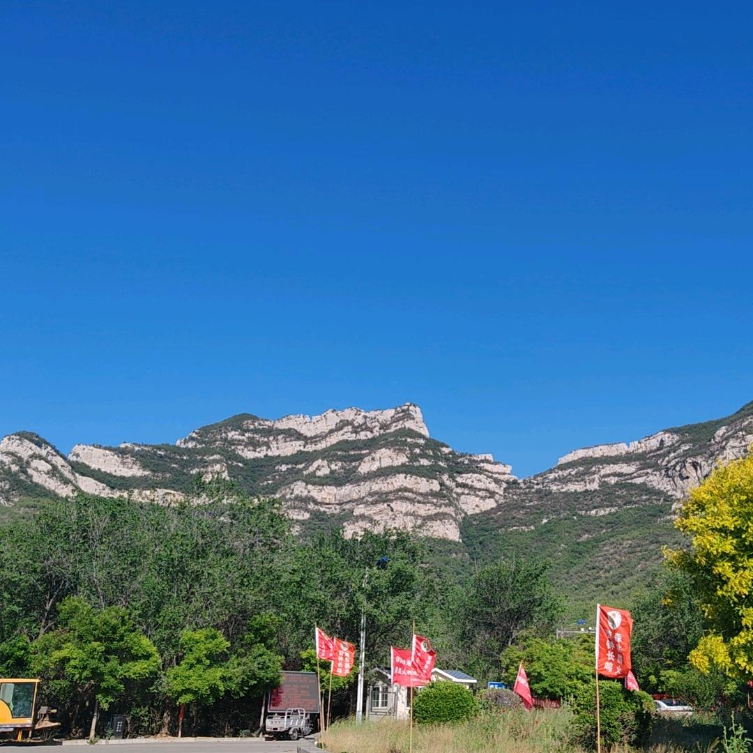 鸽声依旧～石门李鸽～有召必归～军人本色