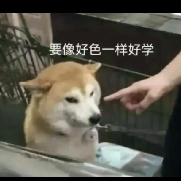 就这样就是这样