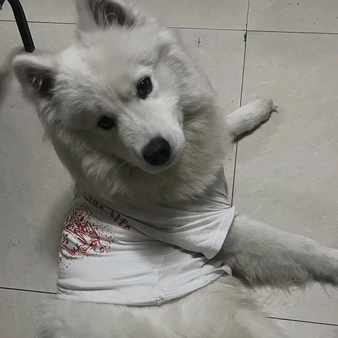 幸福快乐