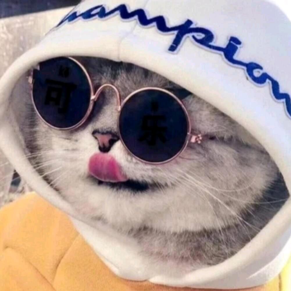 颖