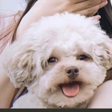 白✨玛🎊💕西💖热🖤
