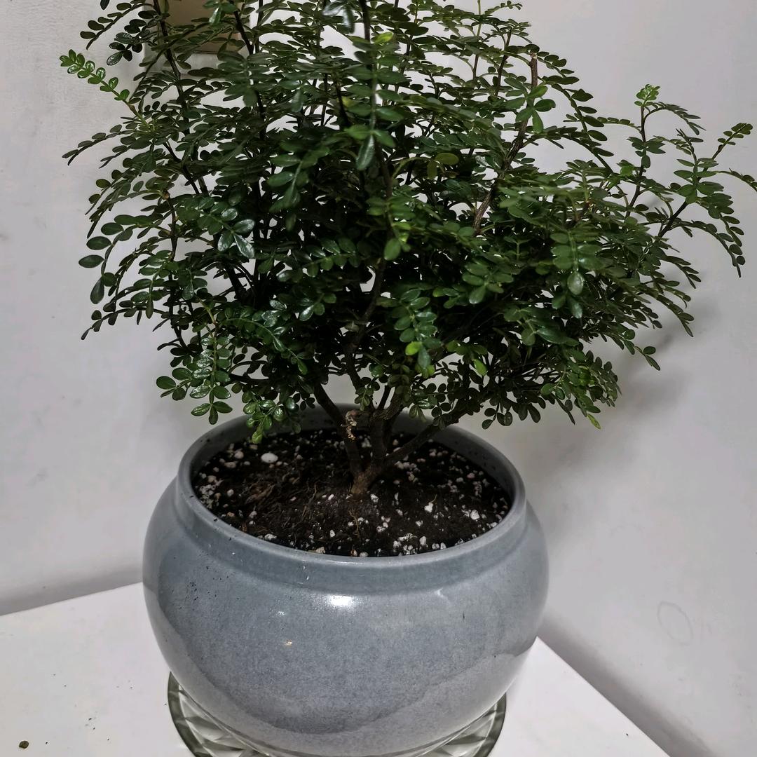 余生  请多指教