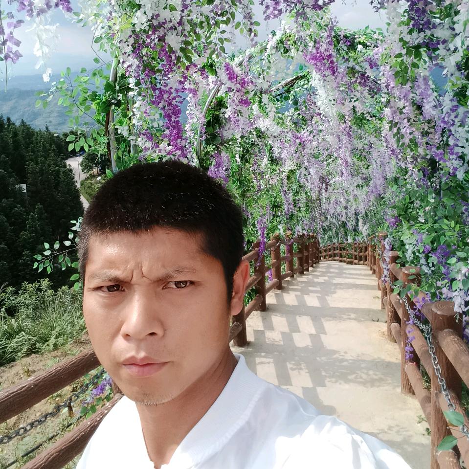 风里雨里，你来娶我。