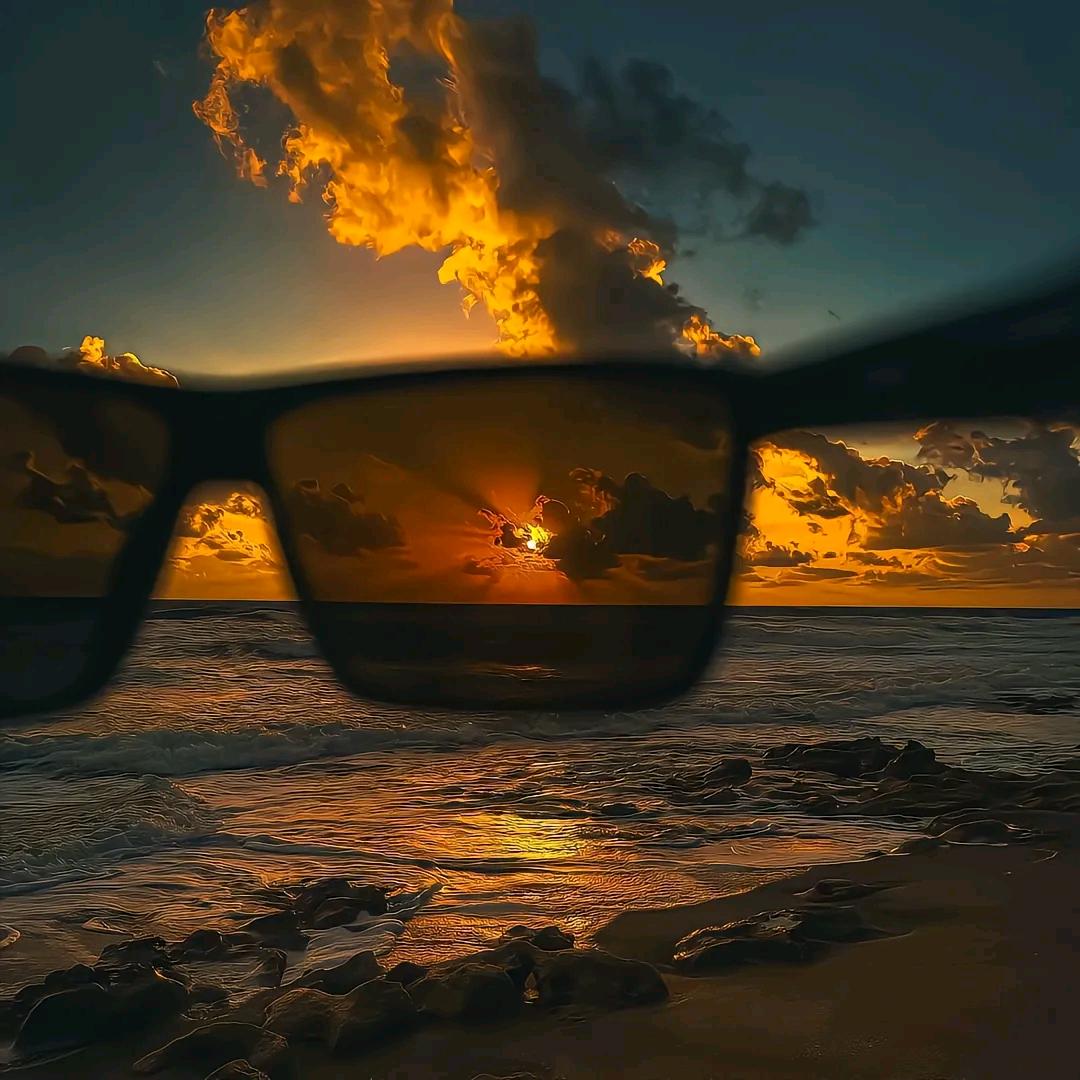 🌈🌈蟹黄酱🌈🌈