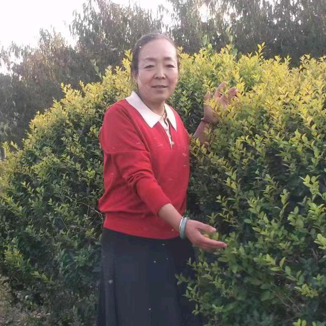 琴姐