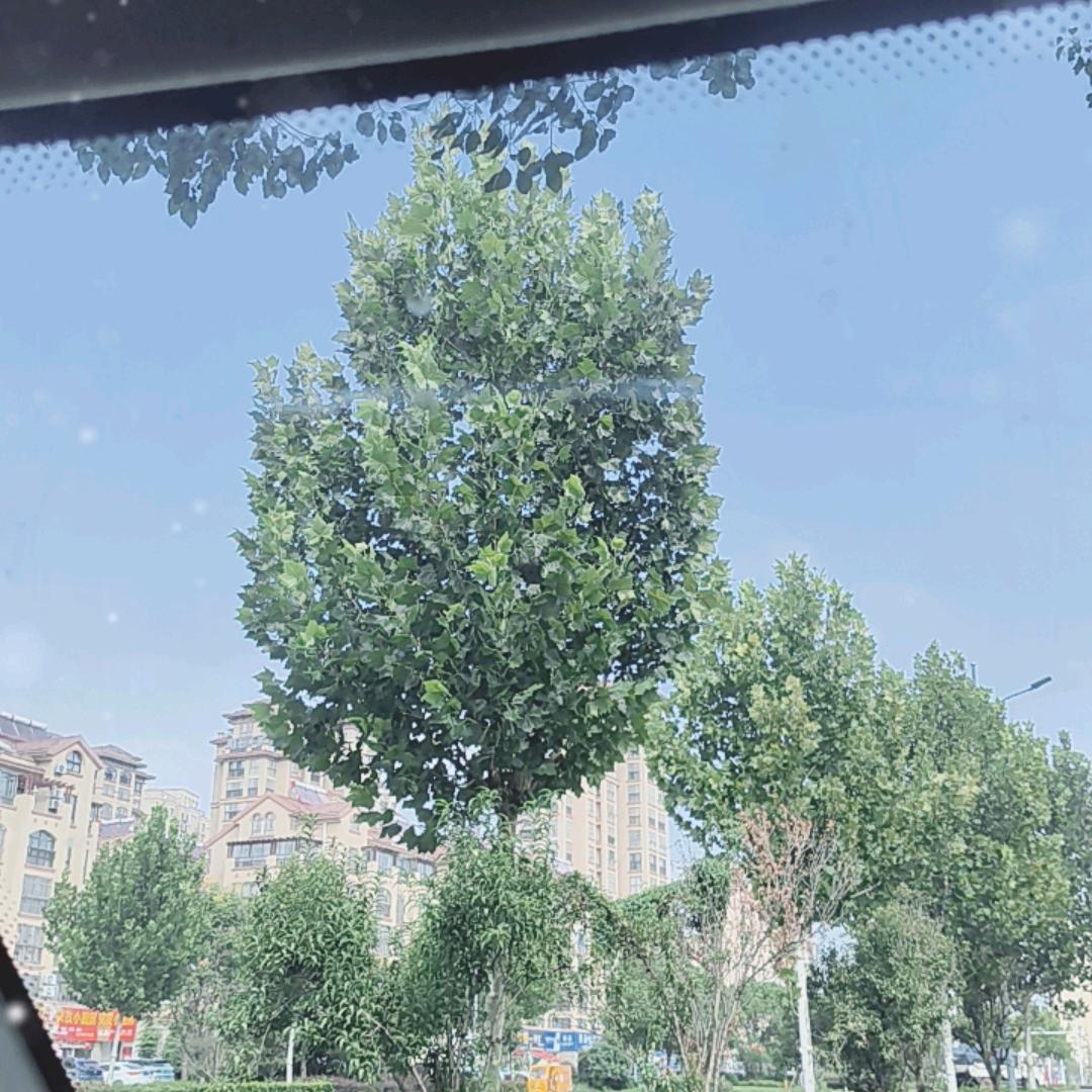 似曾相识