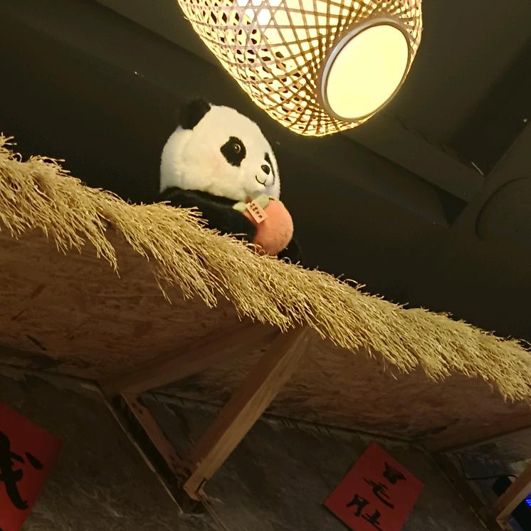 呀~