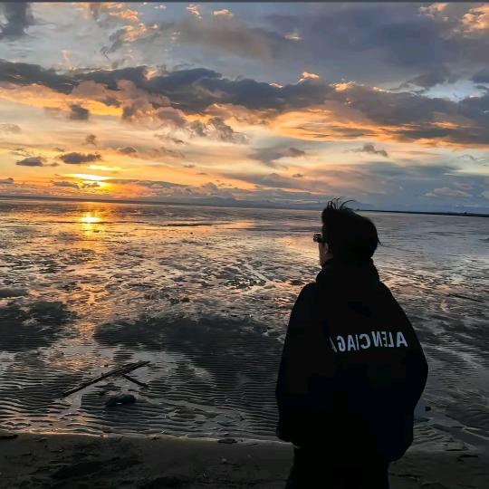 Ale