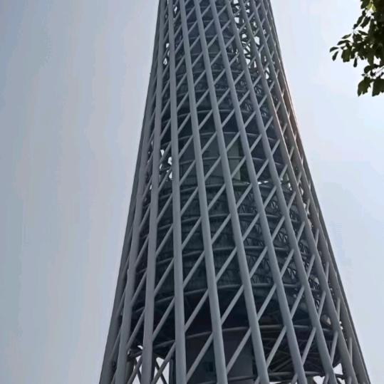 天道酬勤