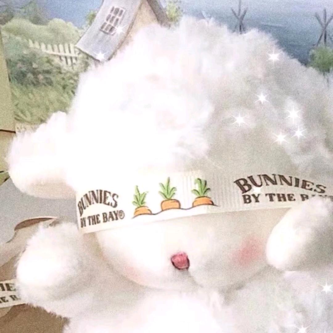 小羊爱睡觉💤