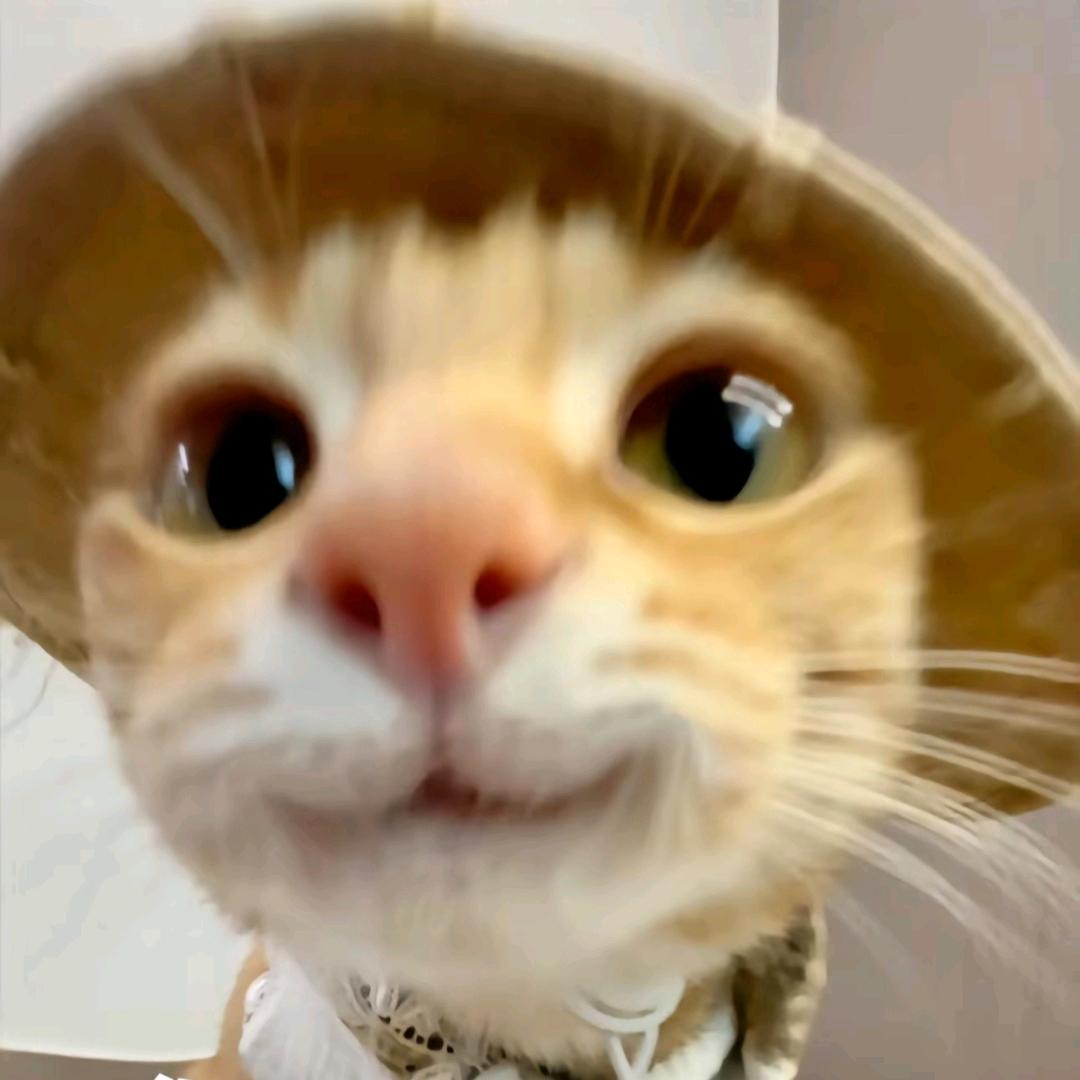 *< |:-)