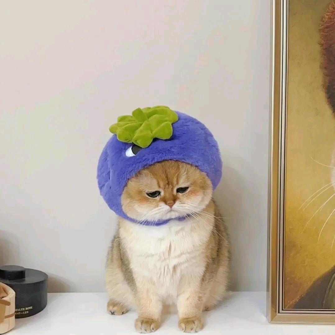 瘦瘦（新人首播筹备中ing）