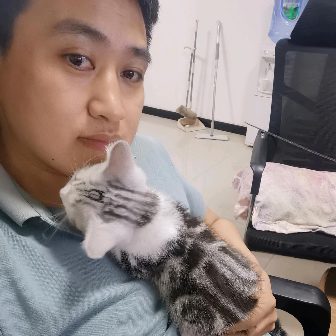 老赵与流浪猫