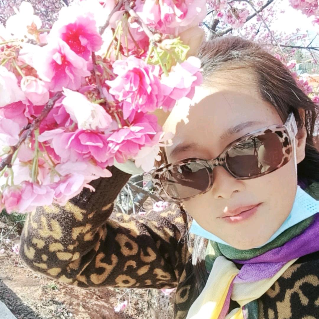菜菜姐