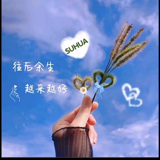 LᎭℯ⃝小懒猫♡