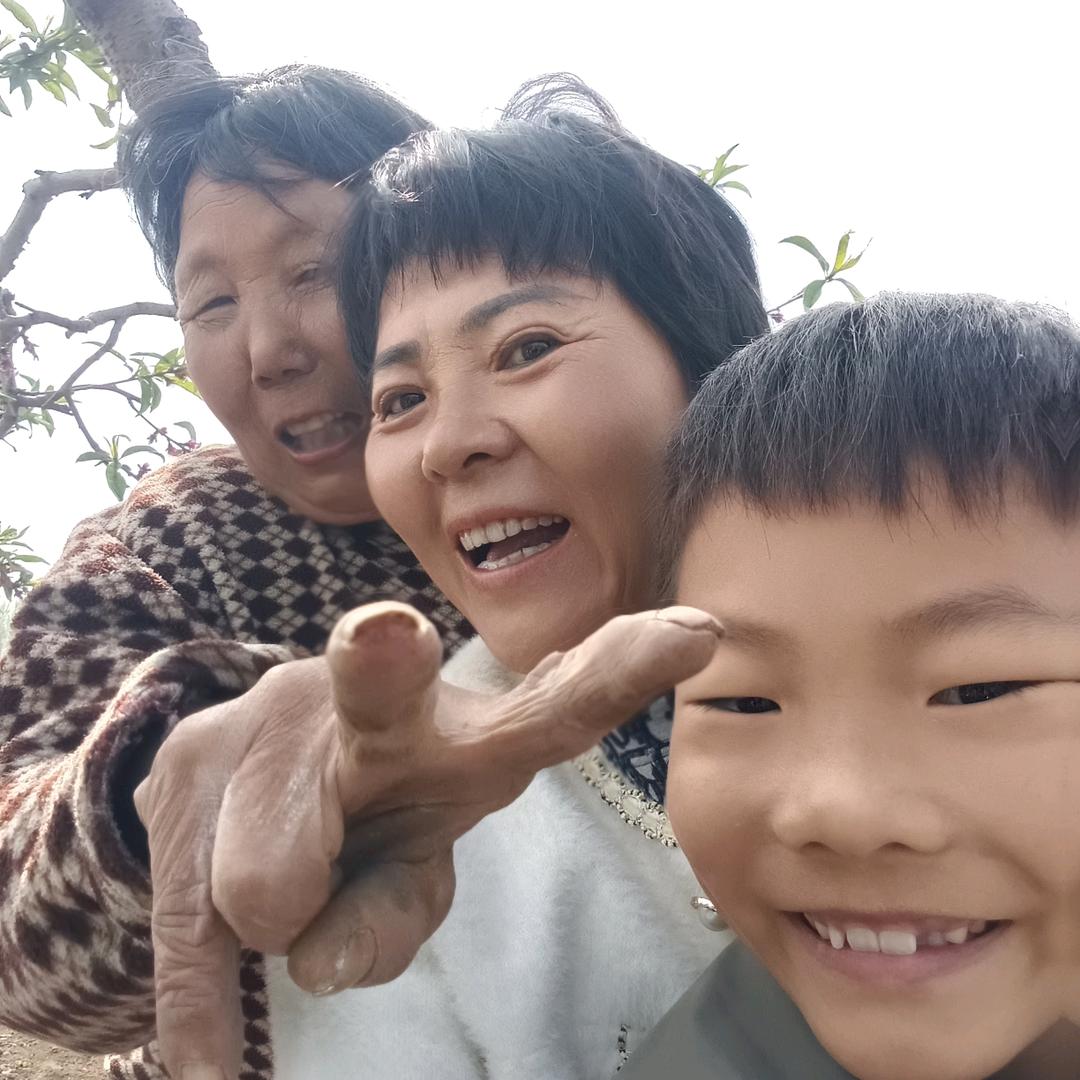 鲜桃满员李姐，批发零售桃