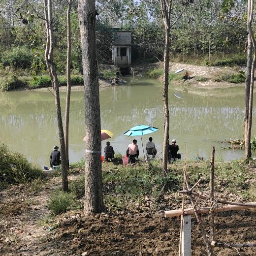 🌈梦里水乡🐟🐟