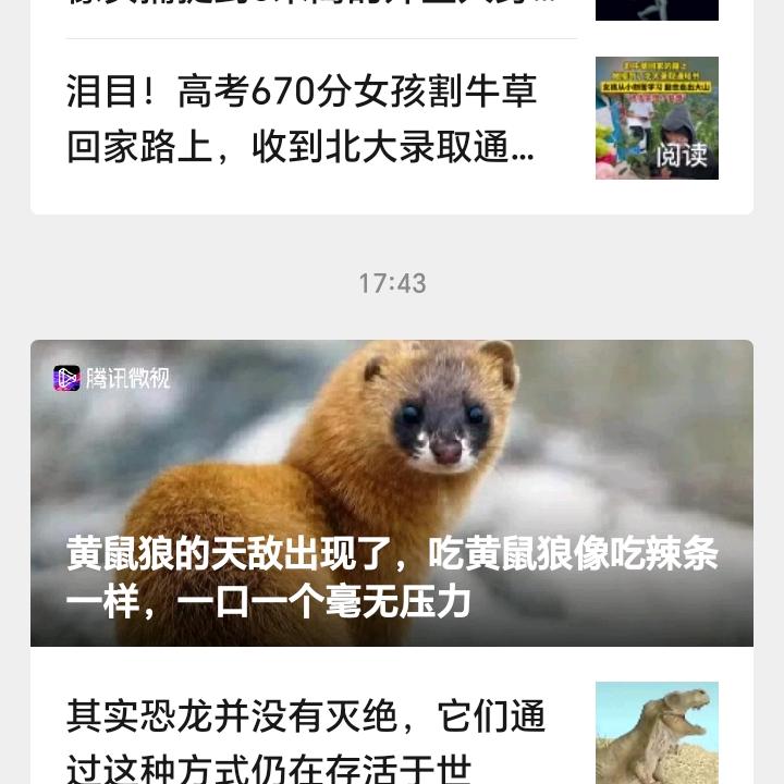 没有如果只有结果