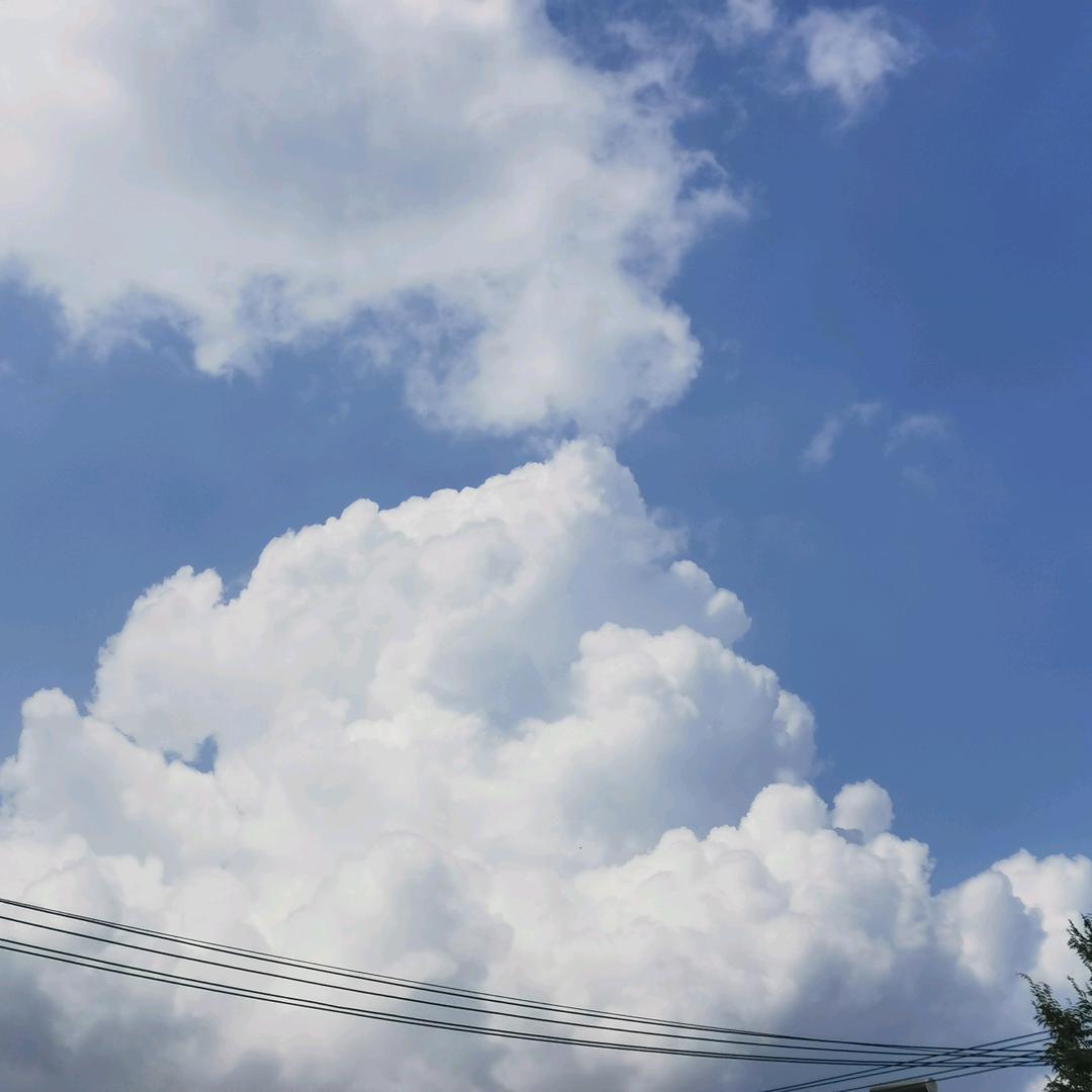 莹颖