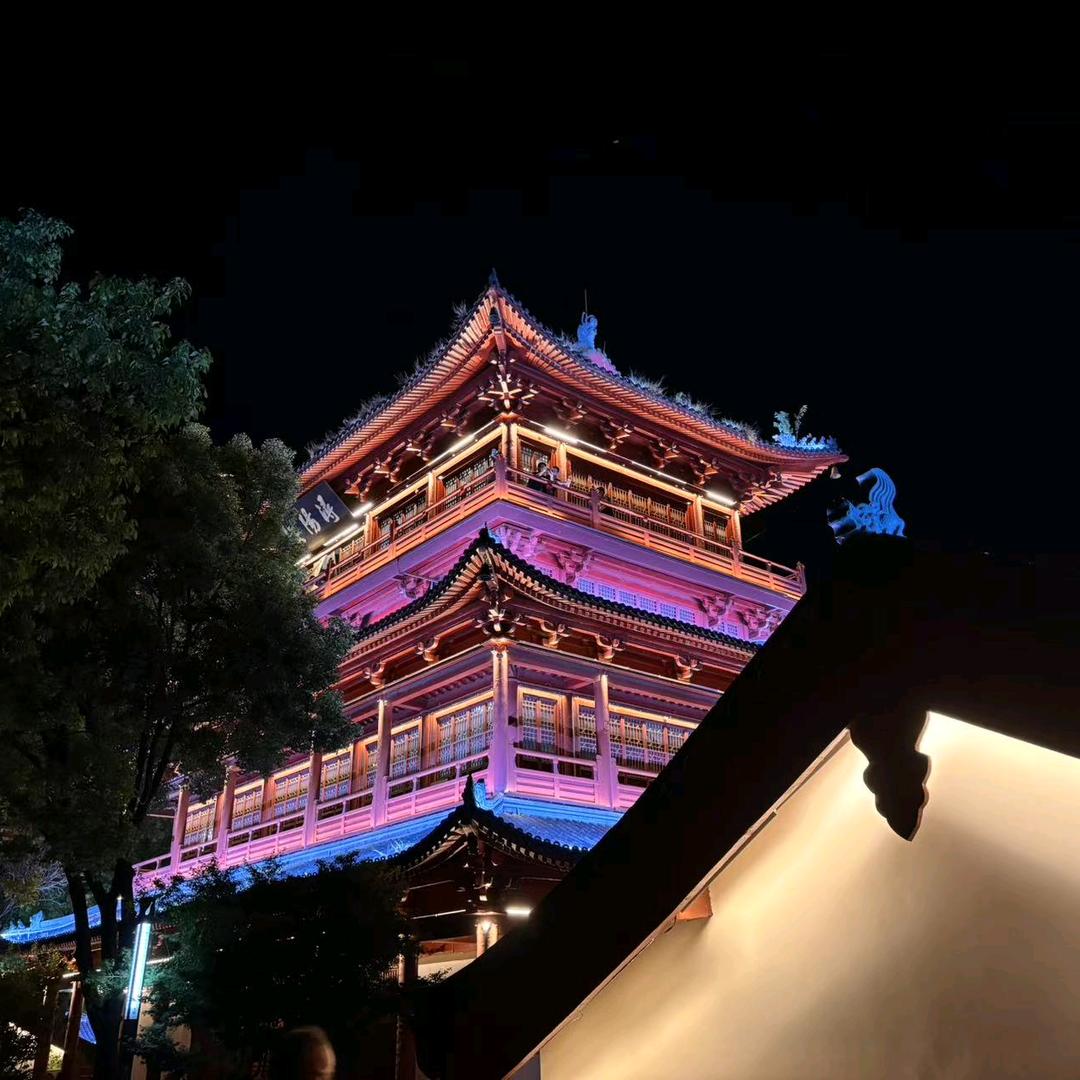 浔龙