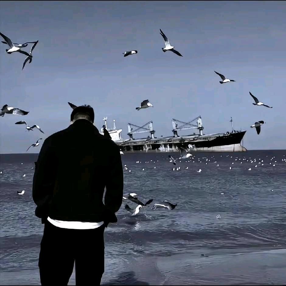 林小鹿